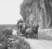 Stage Coach Snake River Canyon Road